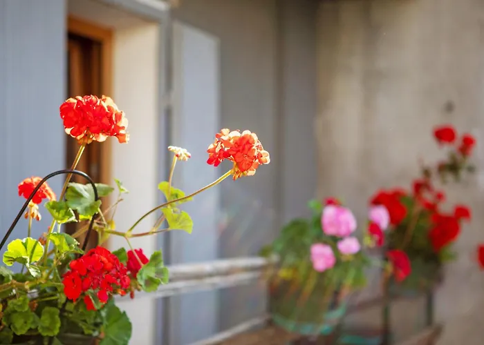 Apartment Maison Marcel Sarre